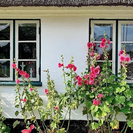 Holiday home 6 Person In Augustenborg
